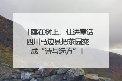睡在树上、住进童话 四川马边县把茶园变成“诗与远方”